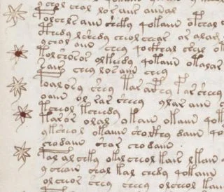 Tekst uit het Voynich-manuscript (Publiek Domein - wiki)