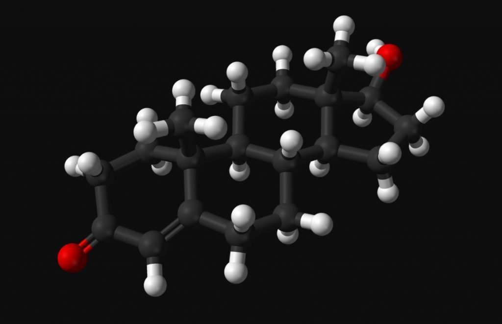 Molecuulmodel van testosteron (Wiki Commons)