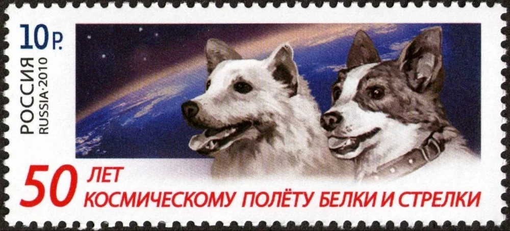 Belka en Strelka op een Russische postzegel (Publiek Domein - wiki)