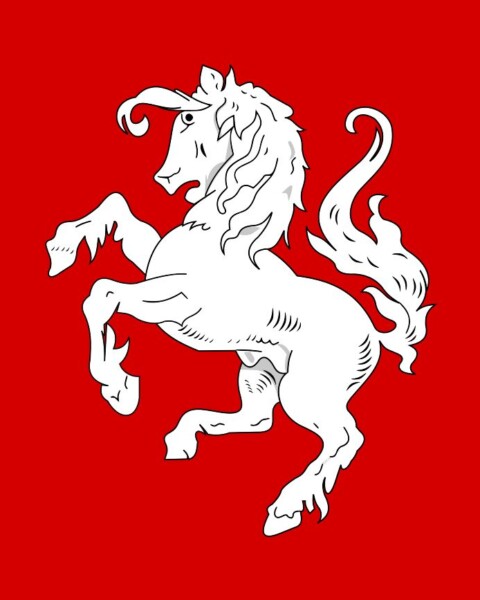 Vlag van Twente