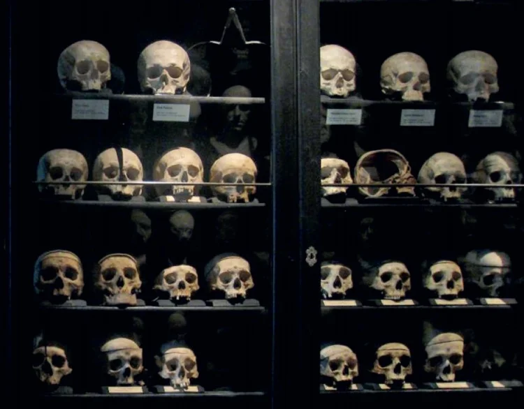 Een klein deel van de schedelverzameling van Gall in het Rollettmuseum, Baden bei Wien.
