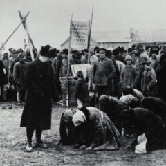 Amerikaanse reddingsoperatie tijdens Russische hongersnood (1921)