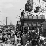 Havenarbeiders in de jaren '40-'50 - Stadsarchief Rotterdam