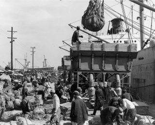 Havenarbeiders in de jaren '40-'50 - Stadsarchief Rotterdam