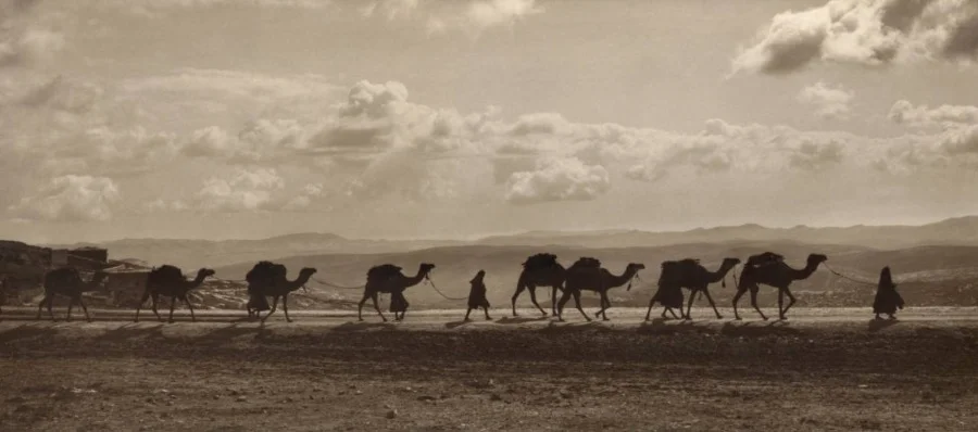 Foto van een karavaan in Egypte, 1918 