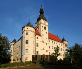Een euthanasiecentrum was gevestigd in Slot Hartheim