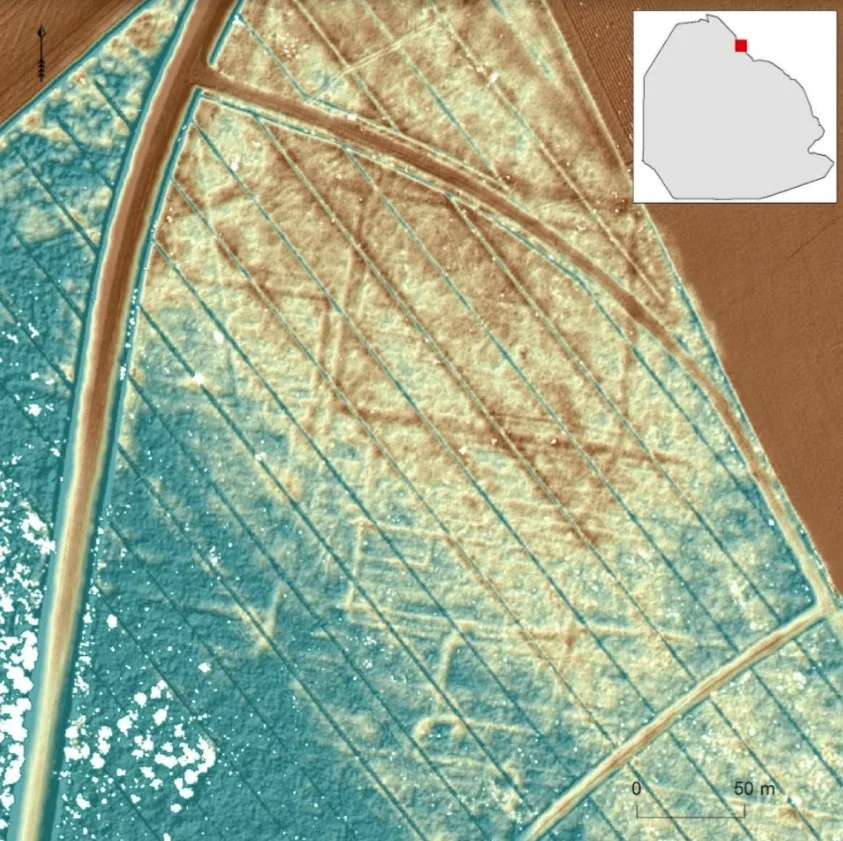 Een gedetailleerde hoogtekaart van de bosbodem in het Kuinderbos (oostkust voormalige Zuiderzee). In de voormalige bosbodem zijn de laatste restanten van laatmiddeleeuwse verkaveling (sloten) rondom het verdronken dorp Veenhuizen als een systeem van lijnen en rechthoeken te zien.