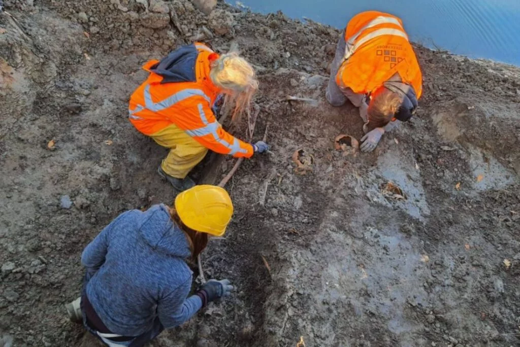 Archeologen onderzoeken een skelet