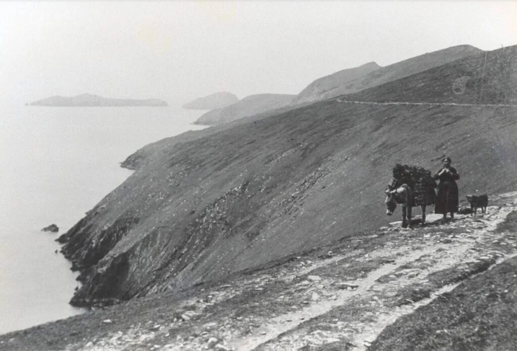 Een eilandbewoner vervoert per ezel een lading turf op Great Blasket