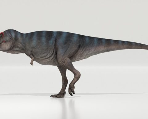 Afbeelding van de wandelende dinosaurus
