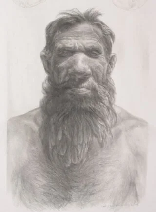 Reconstructietekening Neanderthaler ‘Krijn’