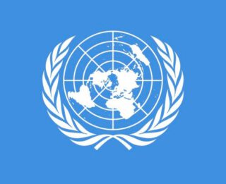 Detail van de vlag van de Verenigde Naties