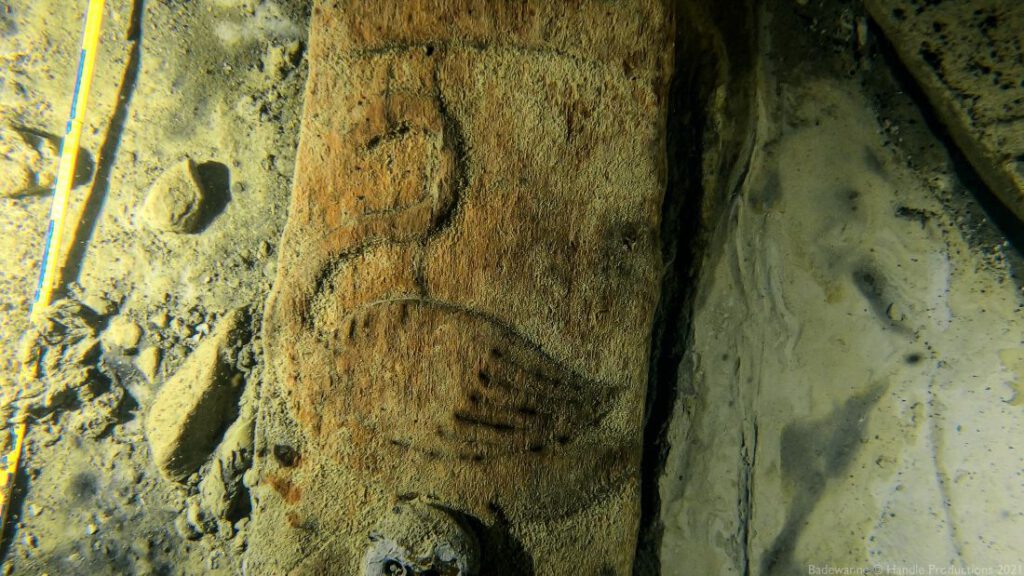 De afbeelding van de zwaan, aangetroffen op het fluitschip