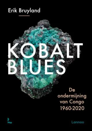 Kobalt blues - Erik Bruyland