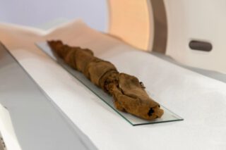 De krokodilmummie in de scanner