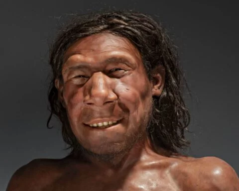 De gezichtsreconstructie van Krijn, de oudste Neanderthaler van Nederland