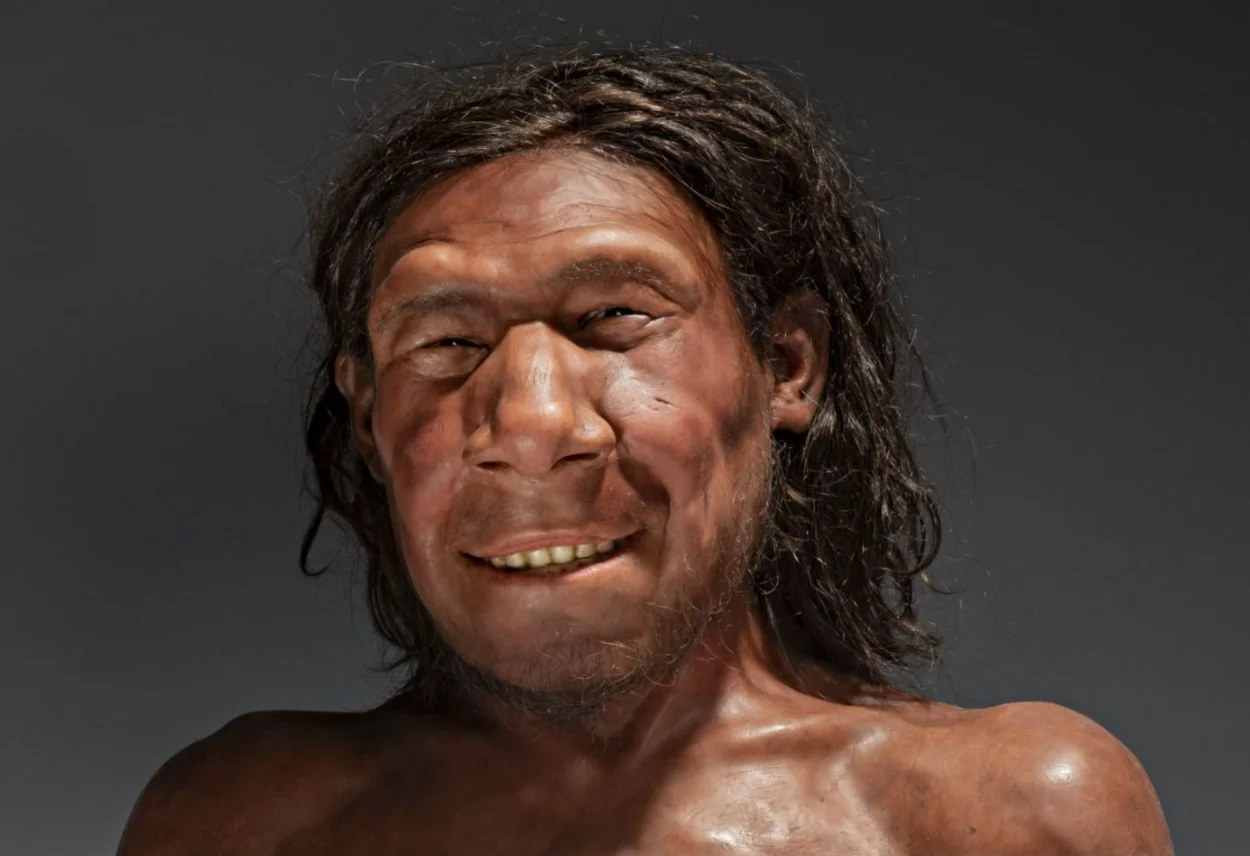 De gezichtsreconstructie van Krijn, de oudste Neanderthaler van Nederland