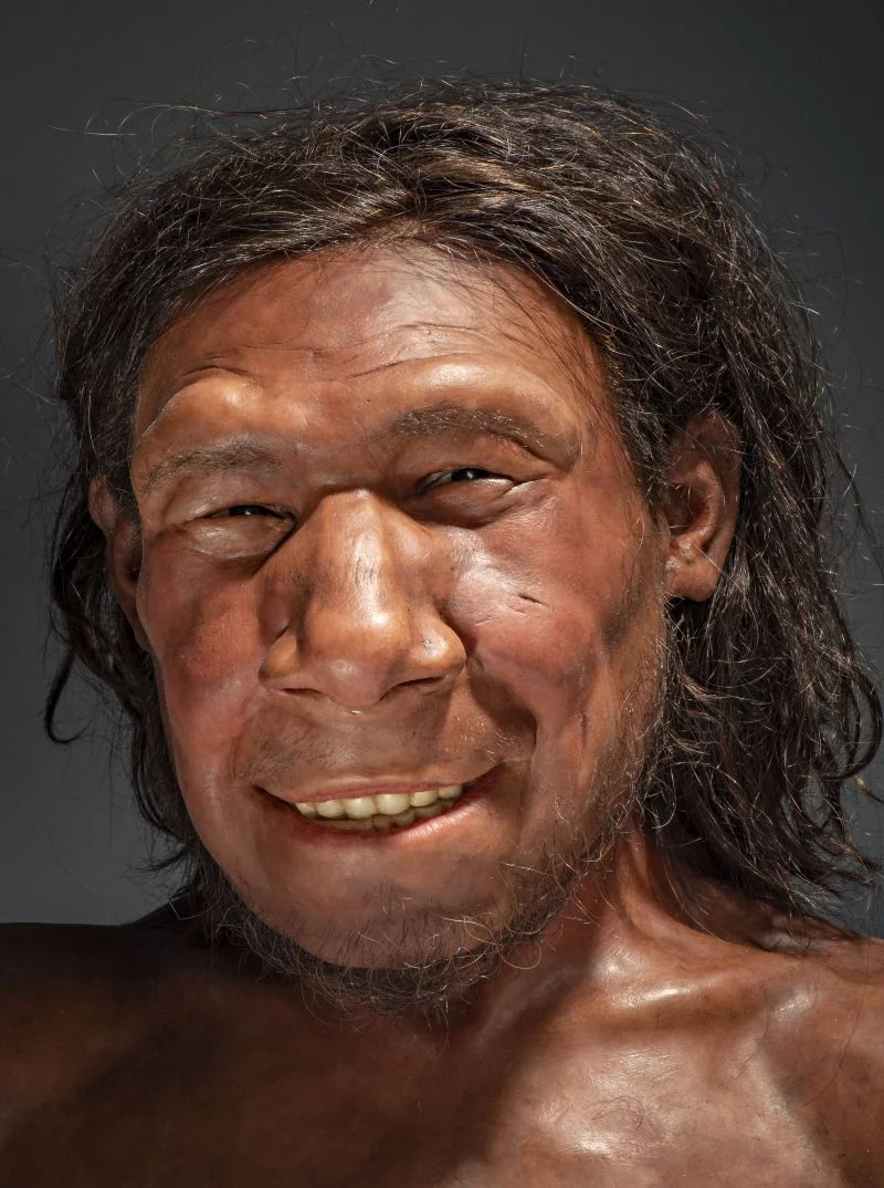 De gezichtsreconstructie van Krijn, de oudste  Neanderthaler van Nederland (Foto: RMO)