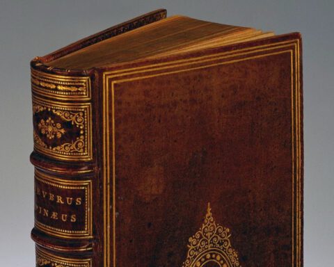 Detail van een boek dat in 1865 in mensenhuid zou zijn gebonden door dr. Ludovic Bouland