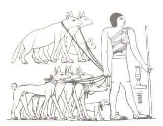 Honden in het oude Egypte