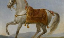 Marengo, het mythische paard van Napoleon