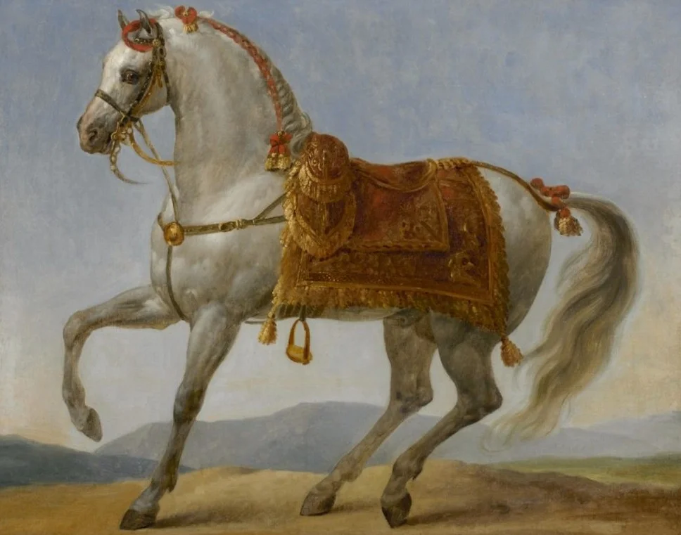 Portret van een arabier ba Napoleon, mogelijk Marengo