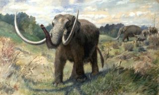Mastodont, verbeeld door Charles R. Knight in 1897