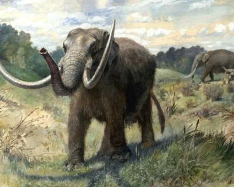 Mastodont, verbeeld door Charles R. Knight in 1897
