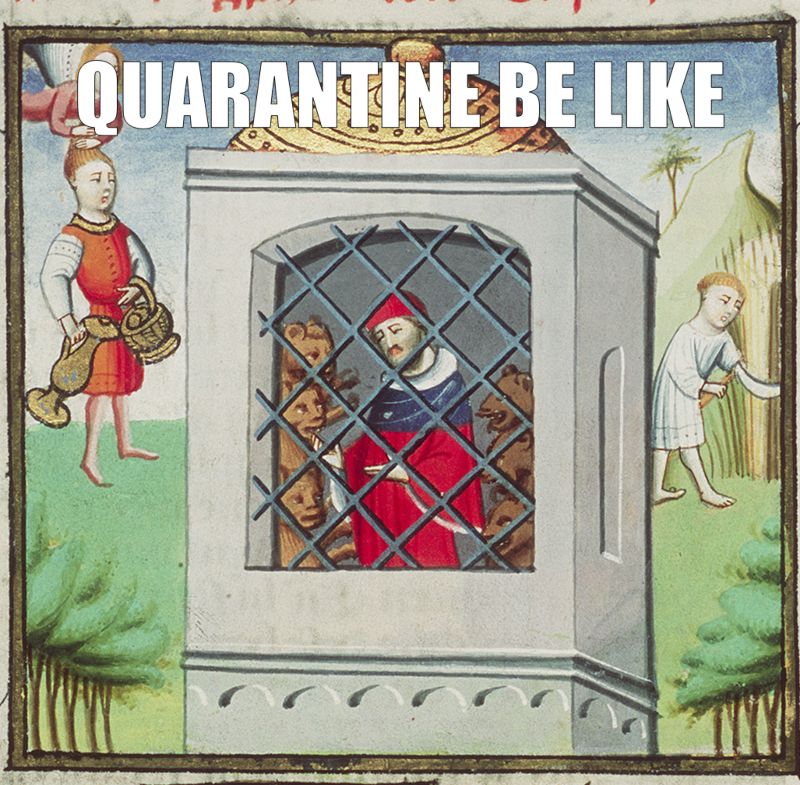 Meme over quarantaine 