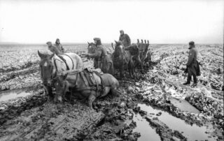 Duitse soldaten met een paardenspan in de Russische modder, 1942