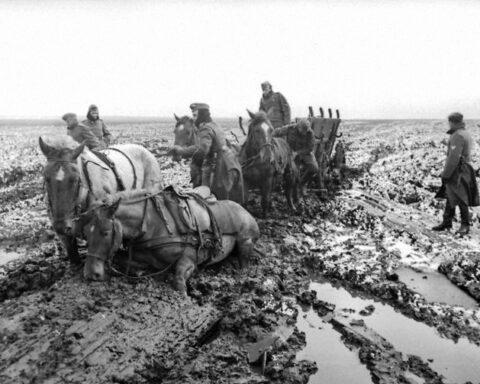 Duitse soldaten met een paardenspan in de Russische modder, 1942