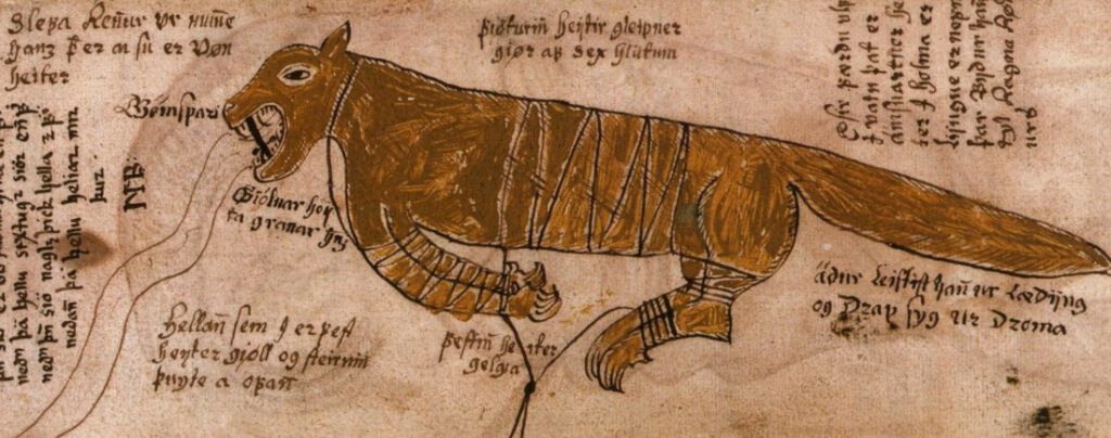 De wolf Fenrir - 17e-eeuws IJslands manuscript