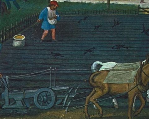 Een ploegende boer in de Middeleeuwen