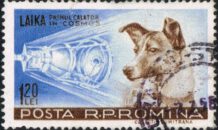 Het hondje Laika en haar ruimtereis (1957)