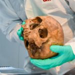 Een van de schedelts tijdens het genetisch onderzoek © Gemeente Koksijde – Sofhie Legein