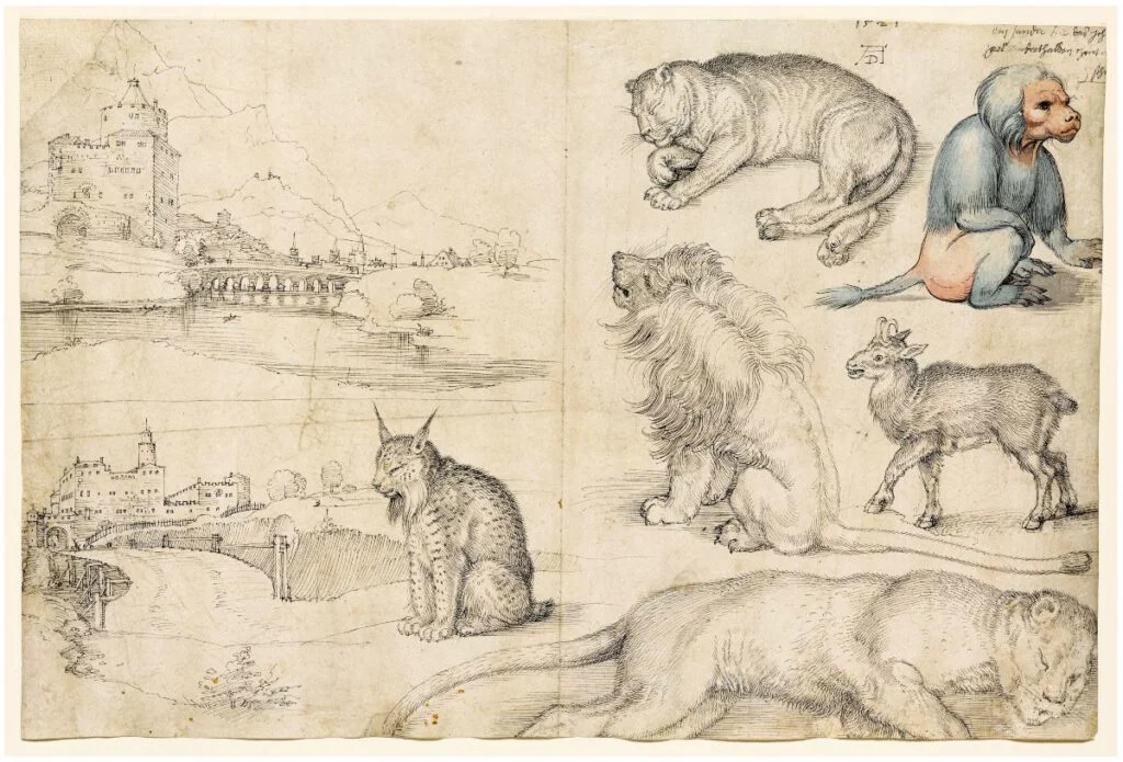 Landschap- en Dierstudies, Albrecht Dürer, 1521