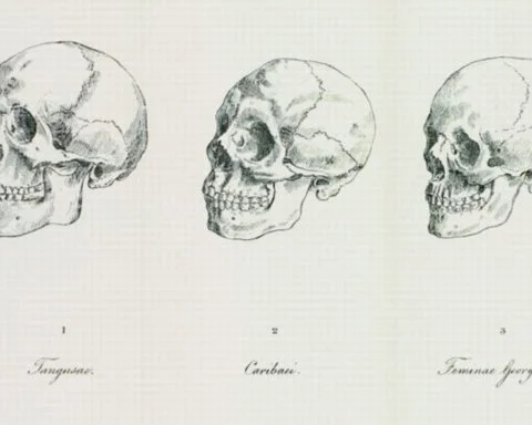 Tekeningen van de Duitse antropoloog en anatoom Johann Friedrich Blumenbach (1752-1840) die onderzoek deed naar de mensheid en een indeling in vijf rassen maakte.