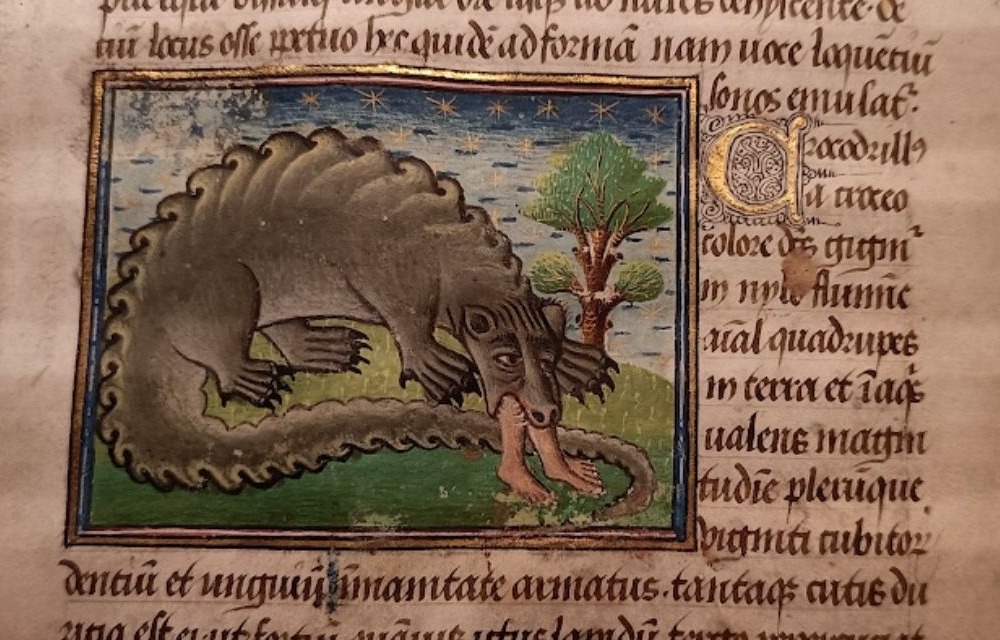 Krokodil eet mens - Bestiarium (Latijn) - Handschrift, West-Frankrijk, ca. 1450 (Collectie Huis van het boek)