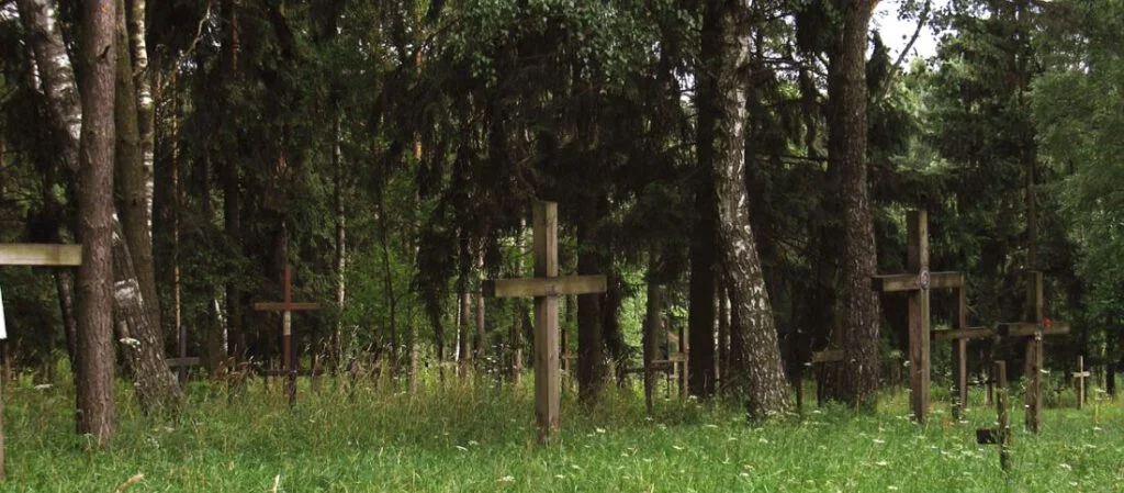 Bos bij Koerapaty, waar door het Stalin-bewind een bloedbad werd aangericht 