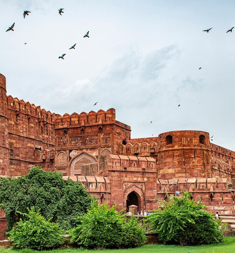 Zicht op het fort van Agra (1)