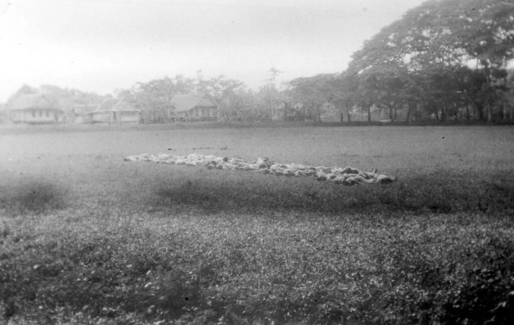Begin 1947 executeerde het Depot Speciale Troepen ongeveer dertig mannen in het dorp Barroe (Zuid-Celebes) en liet hun lichamen uren liggen op de alun-alun (het centrale grasveld) alvorens nabestaanden ze mochten begraven.