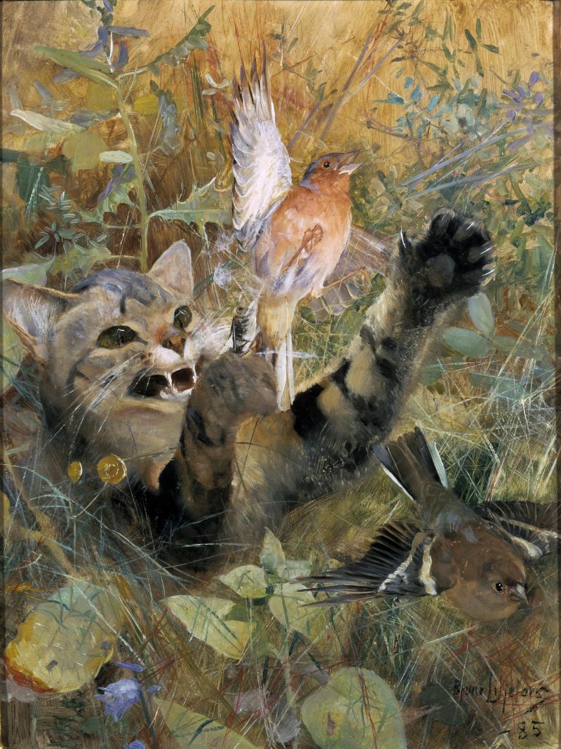 Een kat en een vink. Vijf dierenstudies in één - Bruno Liljefors, 1885