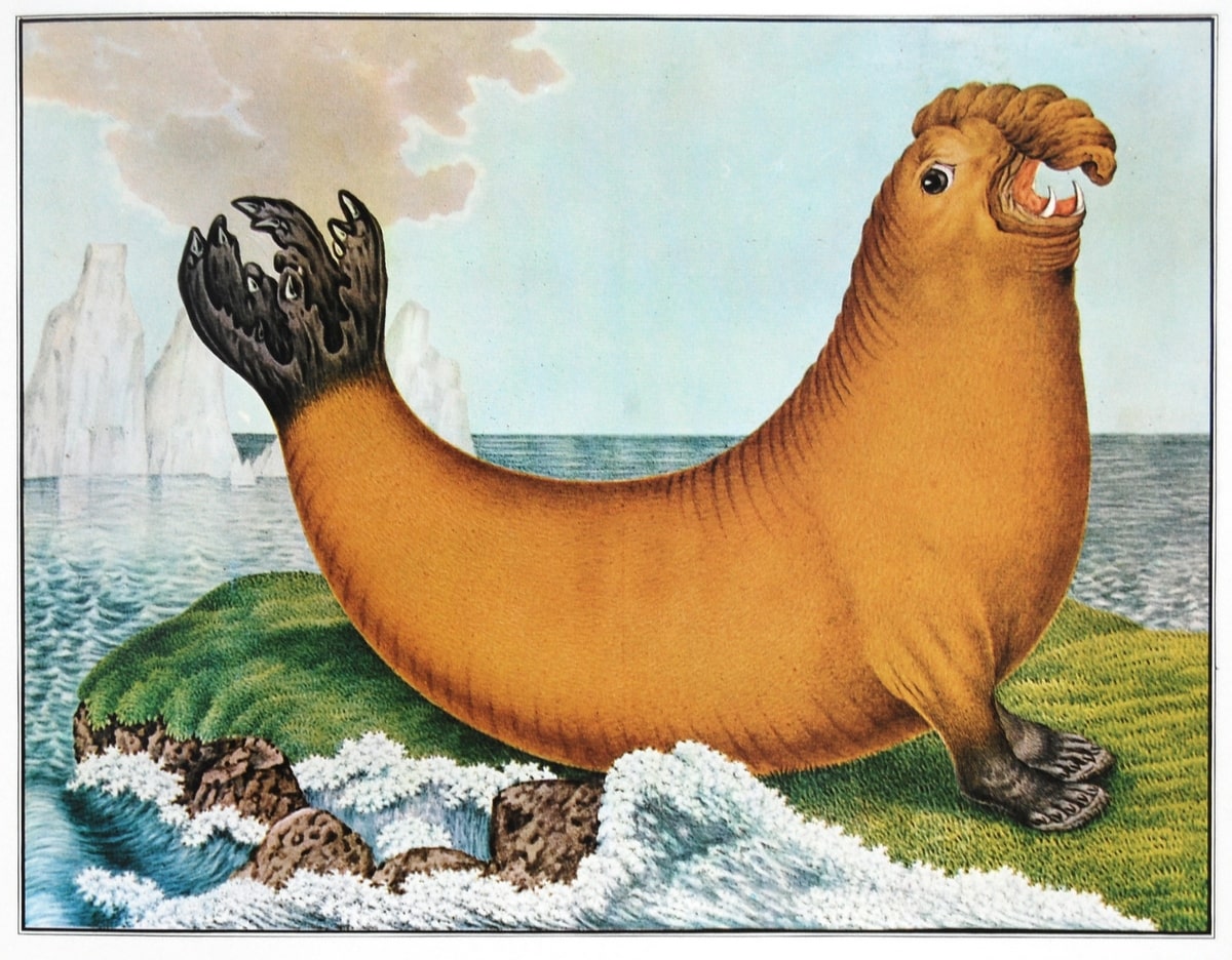 De walrus (1879)