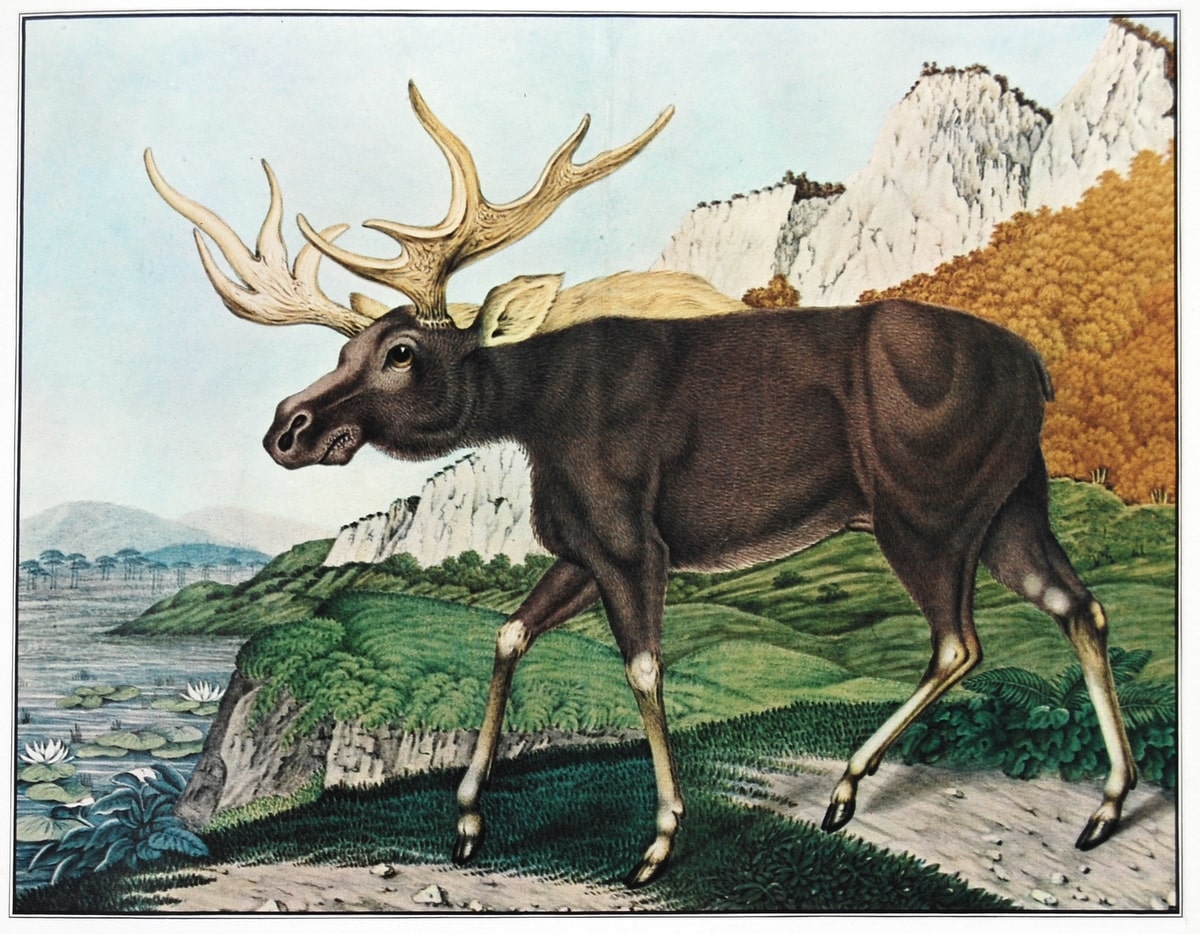 De eland (1886)