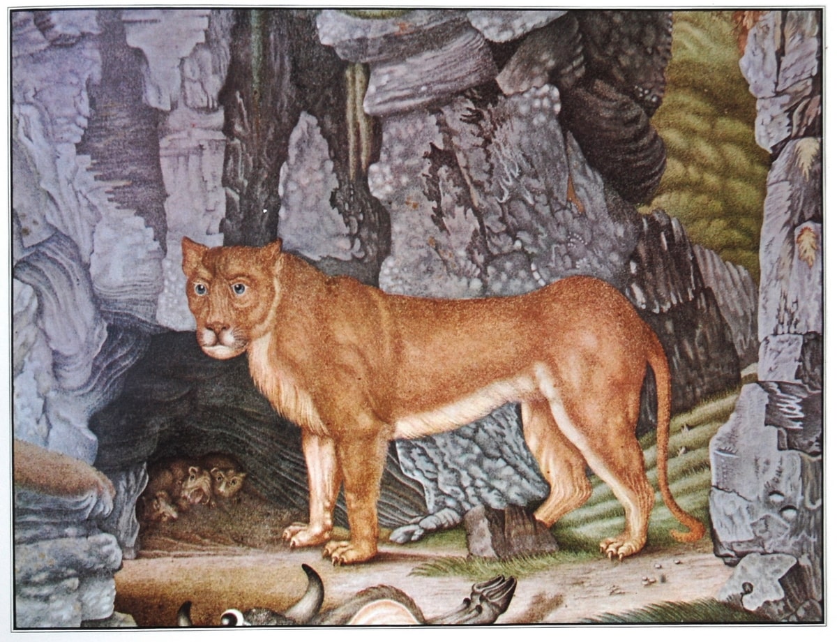 De leeuwin (1832)