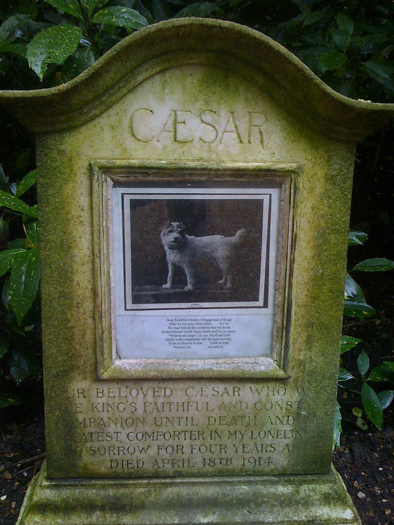 Graf van het hondje Caesar in Marlborough House