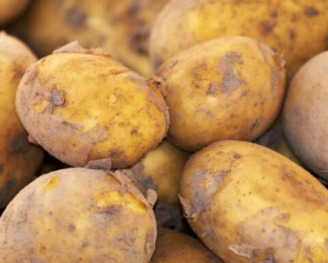 Willekeurige foto van een paar aardappelen