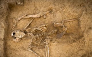 Het blootgelegde skelet van het slachtoffer van de Slag bij Waterloo