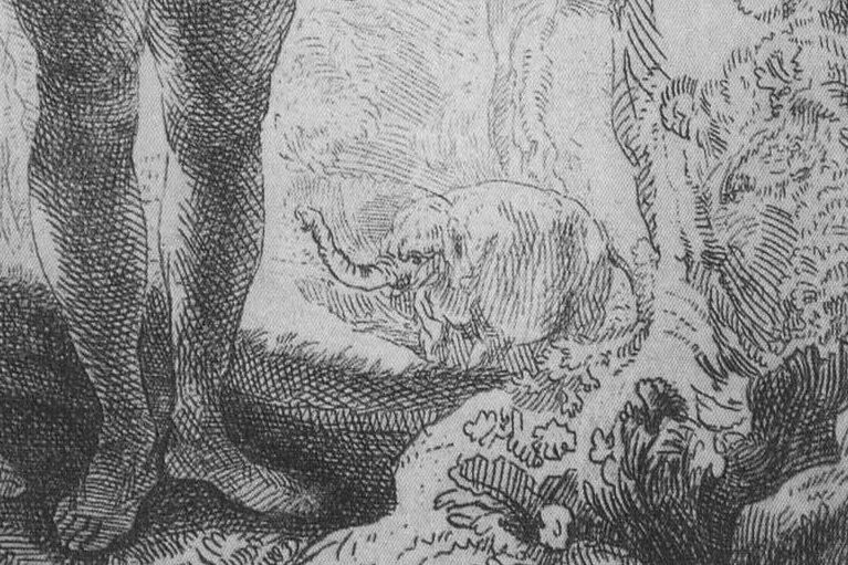 Hansken op de ets van Adam en Eva - Rembrandt van Rijn, 1638