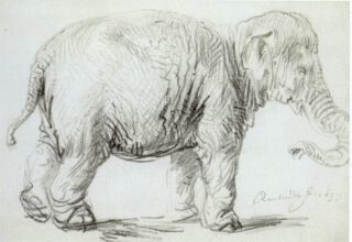 Tekening die Rembrandt in 1937 van Hansken maakte, gesigneerd.